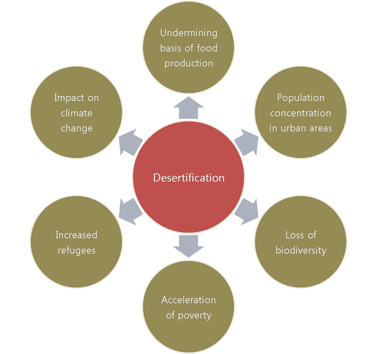 Why Is Desertification Dangerous